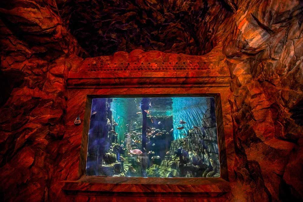 Immersive marine exhibits