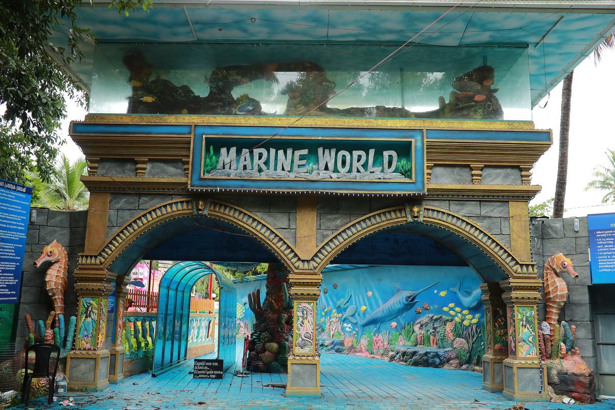 Marine World Aquarium