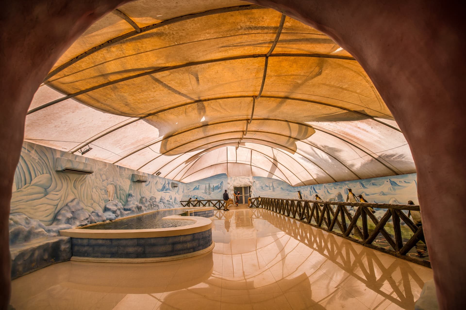 Underwater tunnel experience